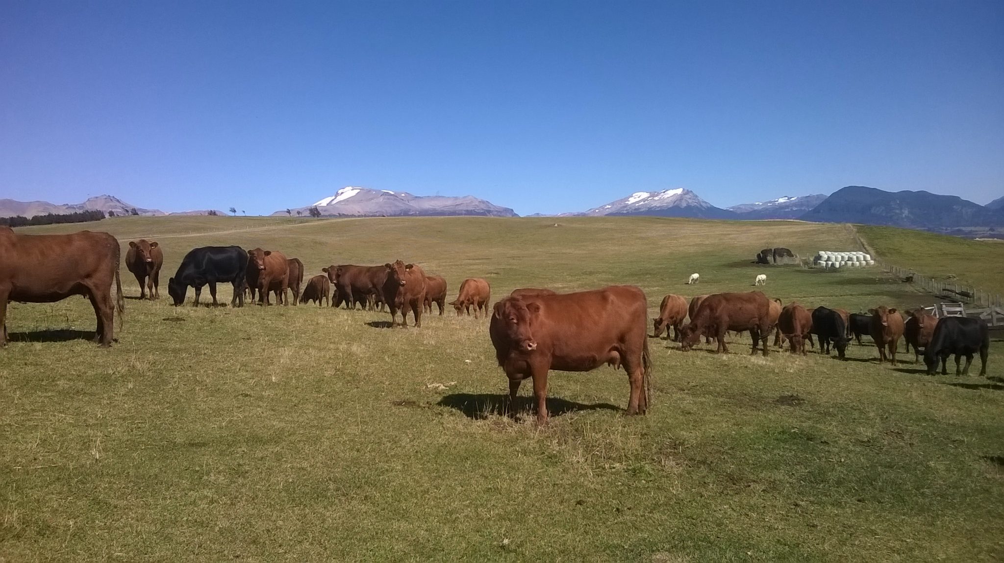 Las Peñas 03